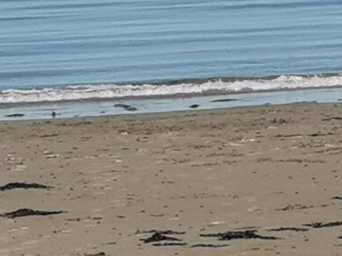 Snowdonia Sunbeach Holiday Sea And Mountain View Llwyngwril Exterior foto